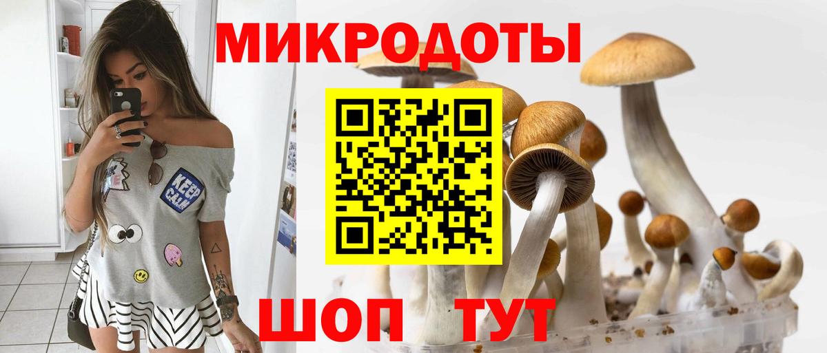 сколько стоит  Вход с VPN  Скопин  Псилоцибиновые грибы MAGIC MUSHROOMS 
